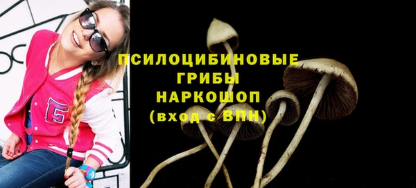 бутират Медногорск