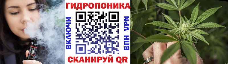 Марихуана конопля  магазин  наркотиков  Суджа 